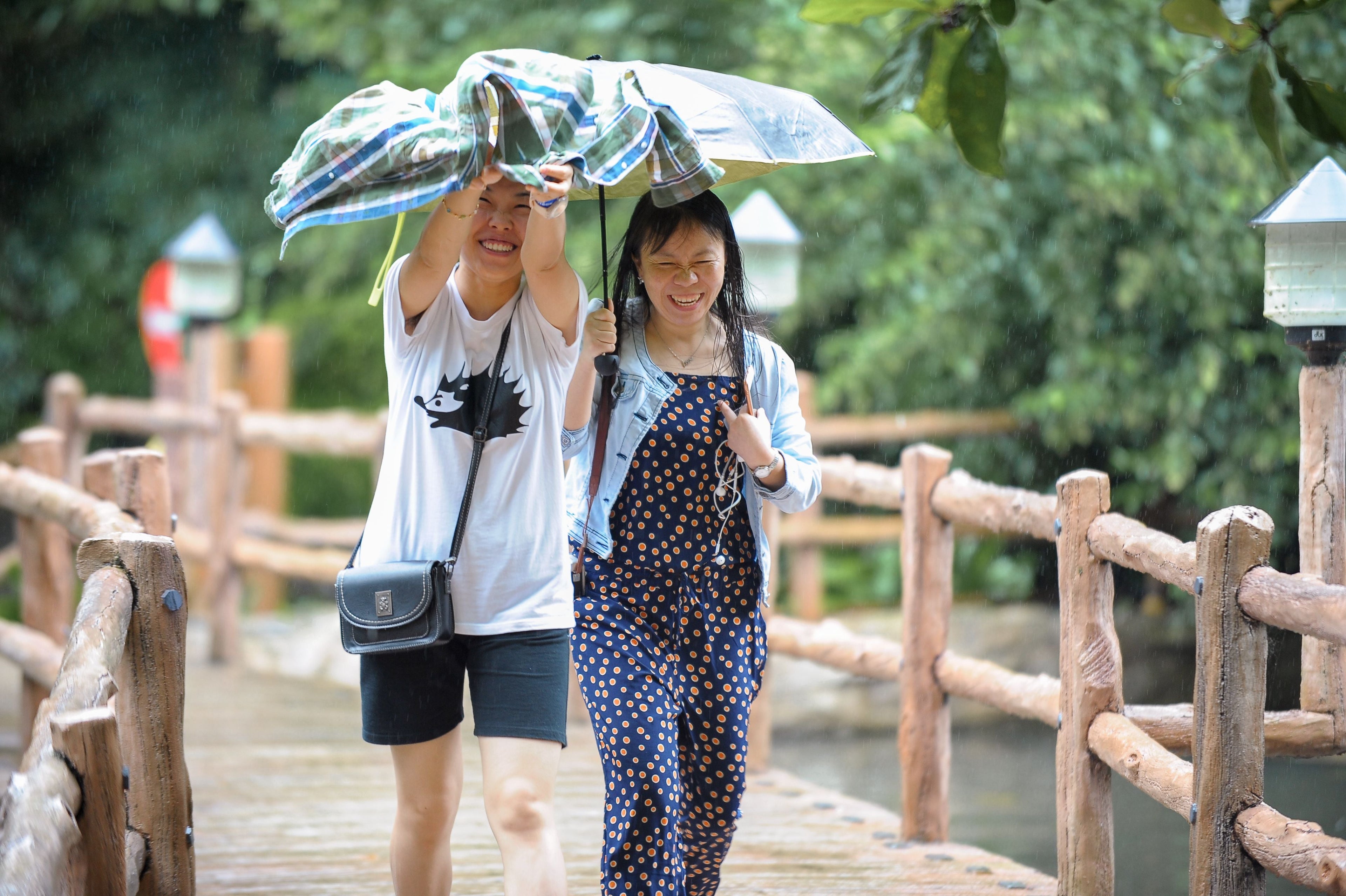 Simple Rainy Season Wellness Tips for a More Comfortable Routine